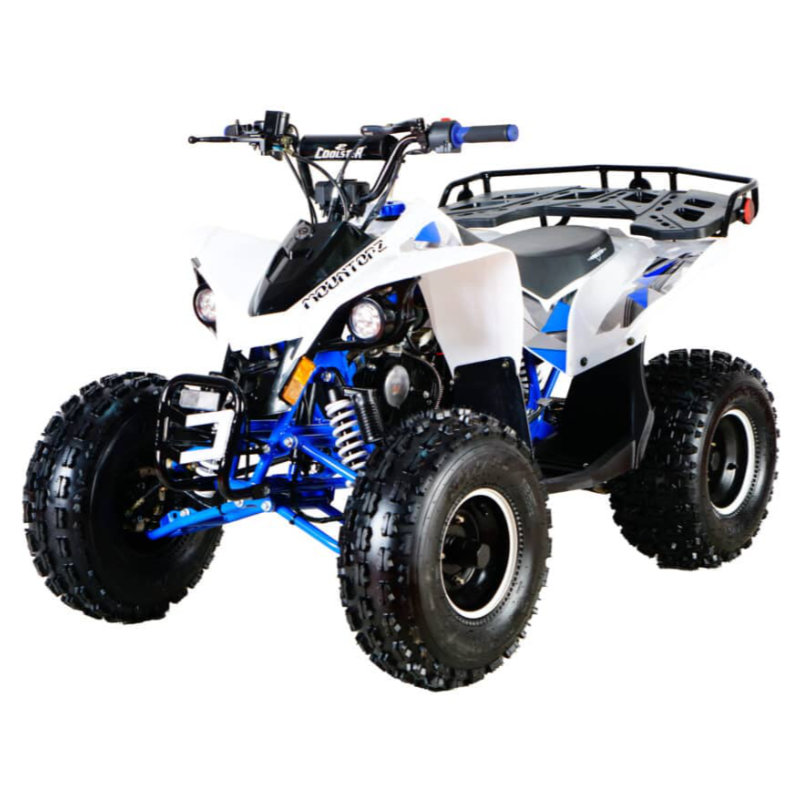 Coolster 125cc Fully Automatic Mid Sized Sport ATV 3125F2 - Click Image to Close