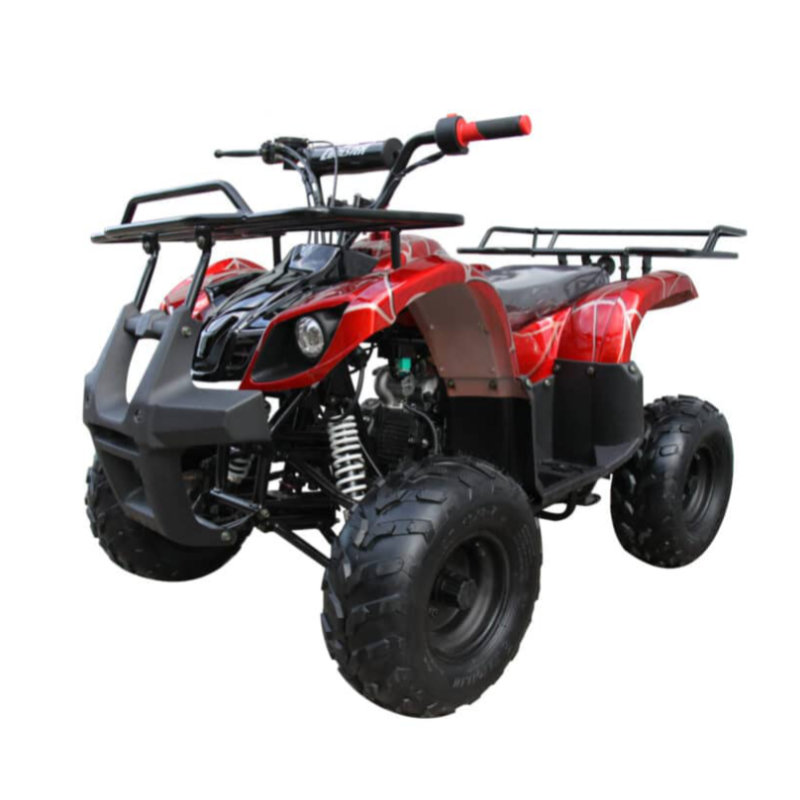 Coolster 120cc Fully Automatic Mini Sized Utility ATV 3125R