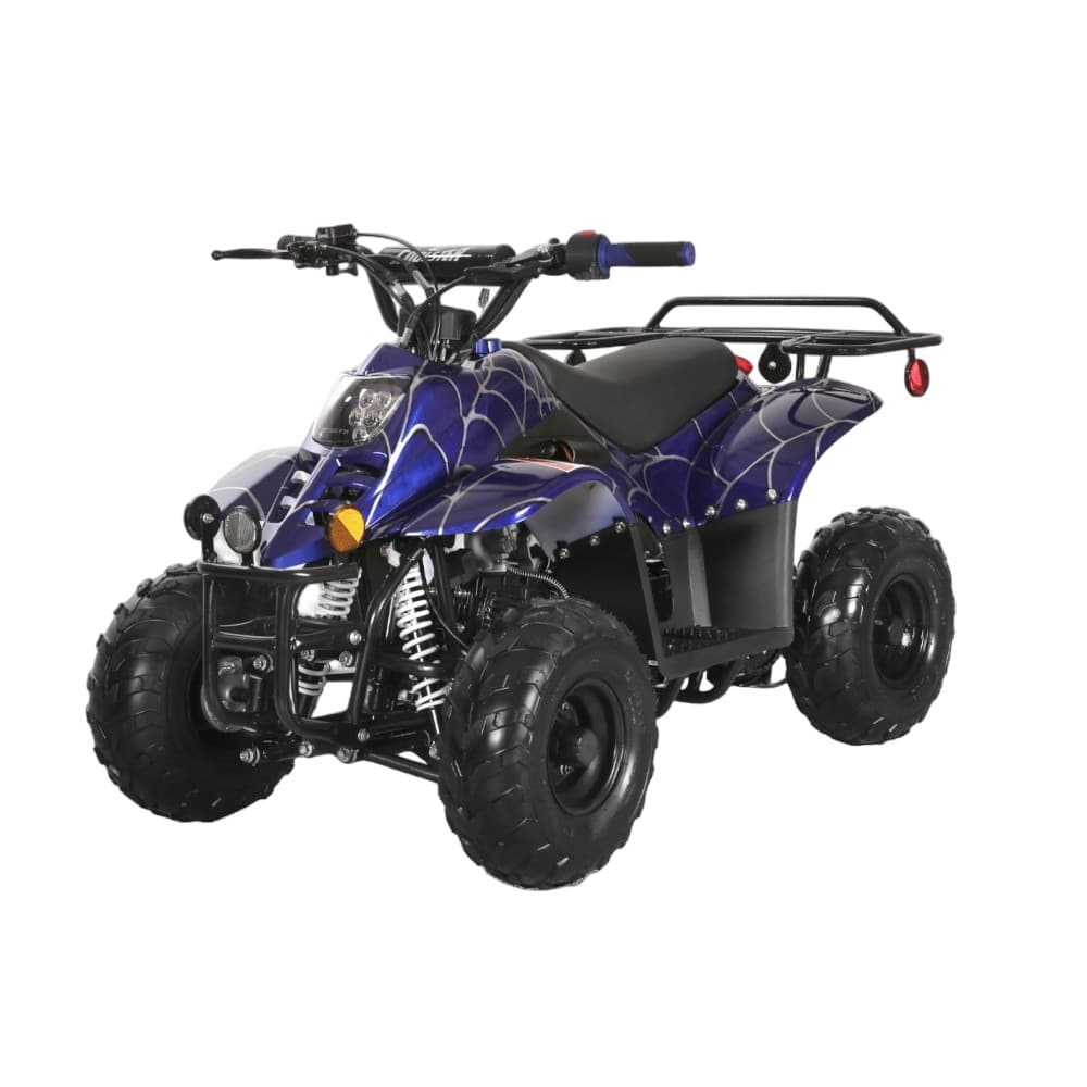 Coolster 110cc Fully Automatic Kids Mini ATV C110C