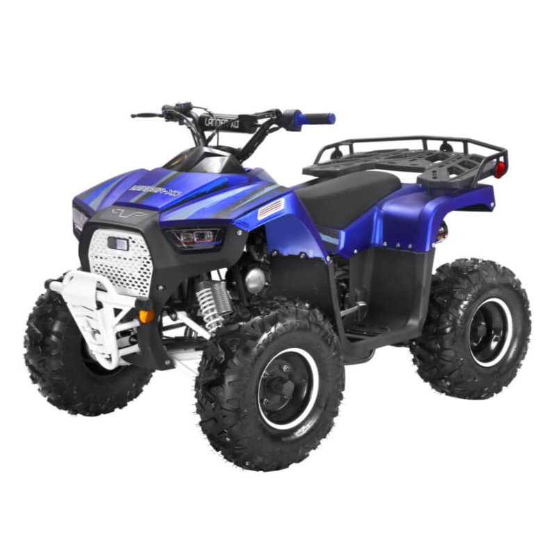 Coolster 120cc Fully Automatic Mini Sized ATV LANDER XD-125UF - Click Image to Close