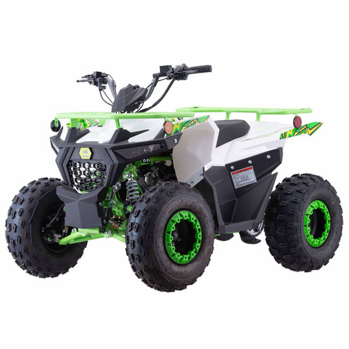 Vitacci Pentora iRide 125cc Fully Automatic Mid Sized ATV