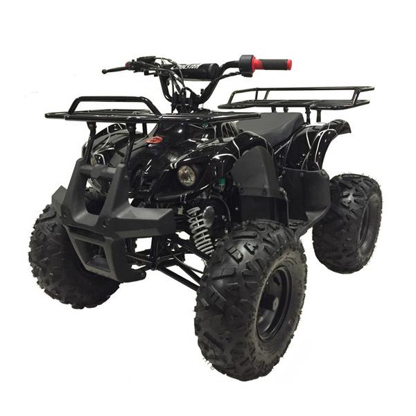 Coolster 125cc Atv 3125xr8 - $1,200.00 : Coolster Atv Parts, Atvs 