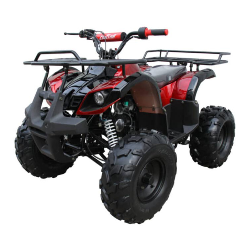 Coolster 125cc Fully Automatic Mid Sized Utility ATV C5125XR8